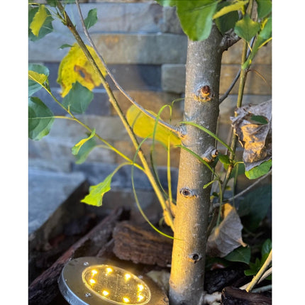 Luminaria Solar Piso Omio Led Cálidos Para Jardín Pack De 4