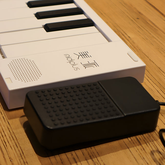 Piano Plegable Portátil 88 Teclasligero Compacto Y Completo