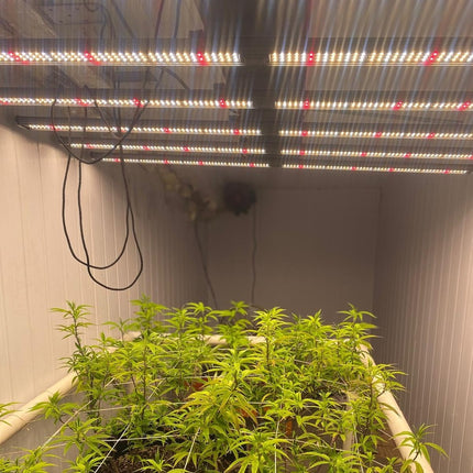 Luz Led De Cultivo Interior Powerlight Storm 320w Grow